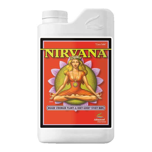 Nirvana (CLOSEOUT)