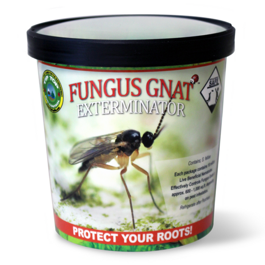 Fungus Gnat & Root Knot Exterminator Cup - 10 million Nematodes