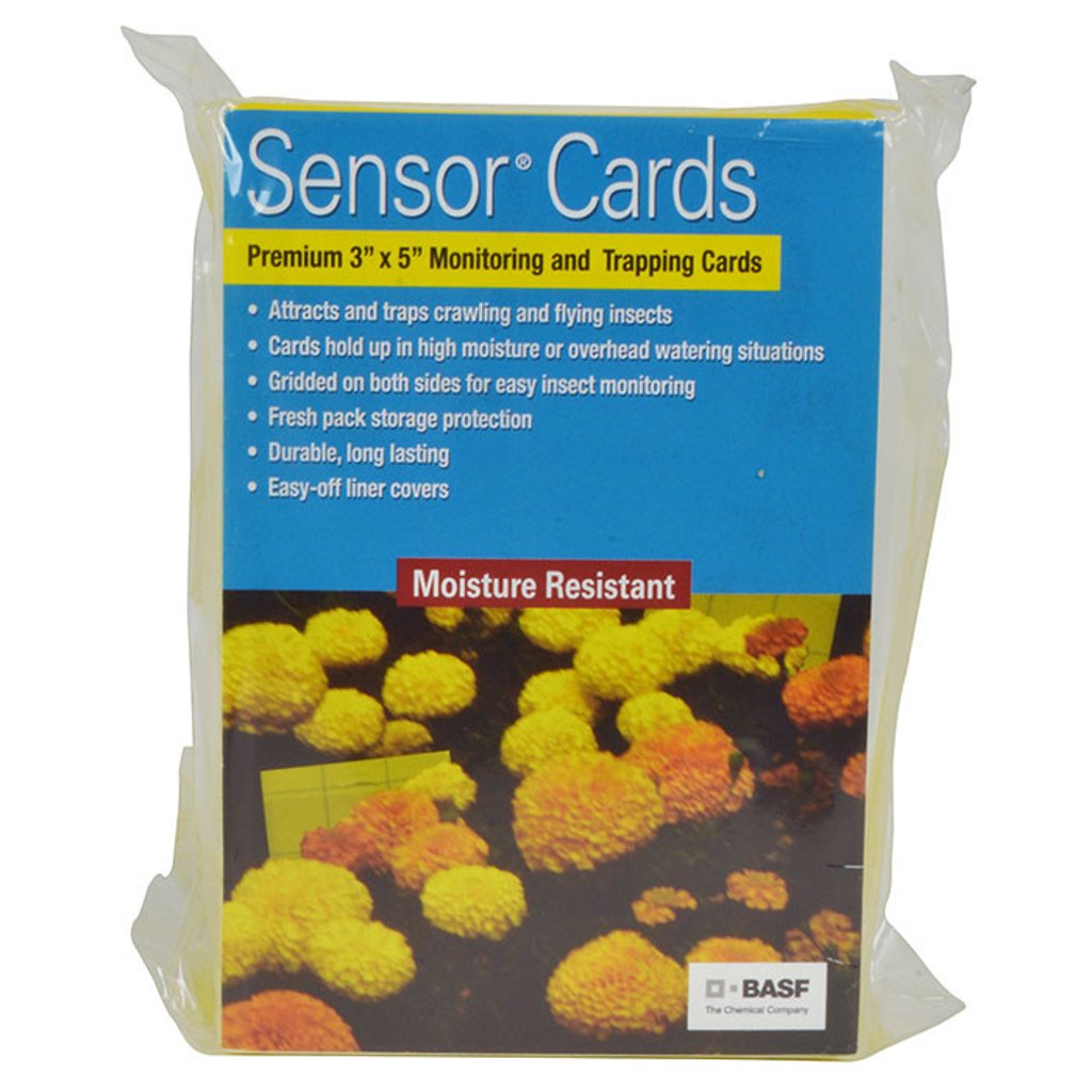 Sensor Cards Yellow Monitoring and Trapping Cards 50/Pack