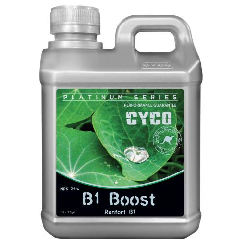CYCO B1 Boost 2 - 1 - 4